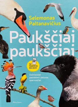 Paukščiai paukščiai
